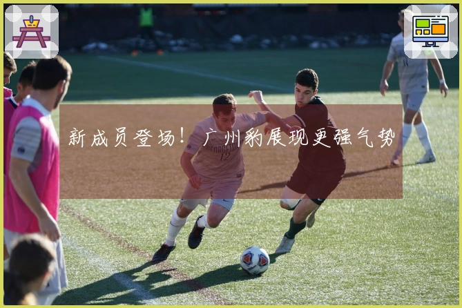 新成员登场！广州豹展现更强气势